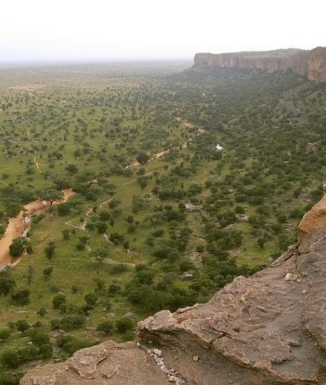 ARID-ZONE