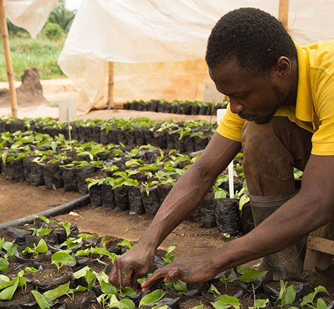 nasikiliza-climate-smart-agriculture-lessons-from-africa-for-the-world-v2-780x439
